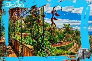 Madeira: Botaniska trädgårdar + Gamla stan med tuk-tuk-tur med MadTuk