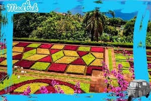 Madeira: Botaniska trädgårdar + Gamla stan med tuk-tuk-tur med MadTuk