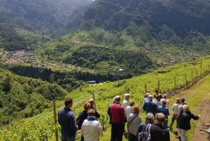 Madeira: Cabo Girão, Prova de Vinhos e Passeio de Jipe pela Serra d'Água