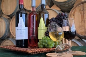 Madeira: Cabo Girão, Prova de Vinhos e Passeio de Jipe pela Serra d'Água