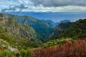 Madeira: East Tour - Santana North Side