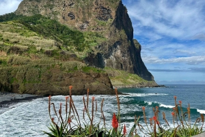 Madeira: East Tour - Santana North Side