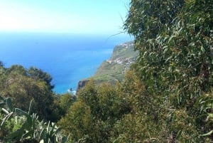 Madeira: Wijnproeverij en landschapswandeling met gids