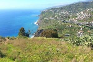 Madeira: Wijnproeverij en landschapswandeling met gids