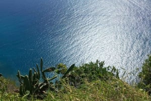 Madeira: Wijnproeverij en landschapswandeling met gids