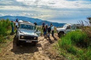 Madeira: Half-Day Nun's Valley and Sea Cliff Tour