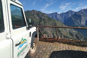 Madeira: Half-Day Nun's Valley and Sea Cliff Tour