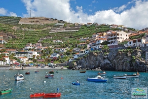 Madeira: Half-Day Nun's Valley and Sea Cliff Tour