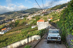 Madeira: Half-Day Nun's Valley and Sea Cliff Tour