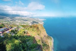 Madeira: Highest Cliff in Europe & Visit to a Winery