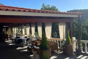 Madeira: Highest Cliff in Europe & Visit to a Winery