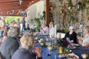 Madeira: Highest Cliff in Europe & Visit to a Winery