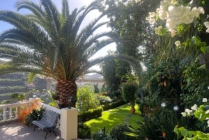 Madeira: Highest Cliff in Europe & Visit to a Winery