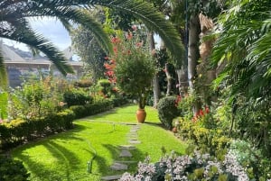 Madeira: Highest Cliff in Europe & Visit to a Winery