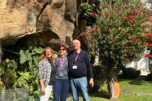 Madeira: Highest Cliff in Europe & Visit to a Winery