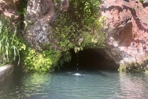 Madeira: Highest Cliff in Europe & Visit to a Winery