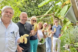 Madeira: Highest Cliff in Europe & Visit to a Winery