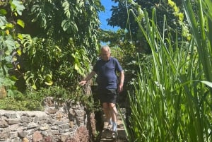 Madeira: Highest Cliff in Europe & Visit to a Winery