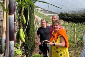 Madeira: Highest Cliff in Europe & Visit to a Winery