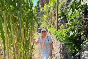 Madeira: Highest Cliff in Europe & Visit to a Winery