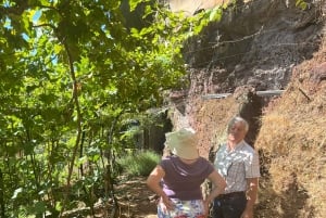 Madeira: Highest Cliff in Europe & Visit to a Winery