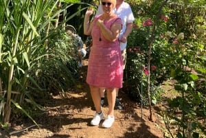 Madeira: Highest Cliff in Europe & Visit to a Winery