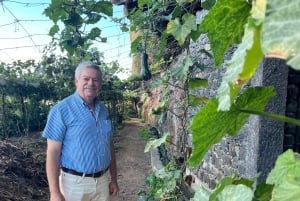 Madeira: Highest Cliff in Europe & Visit to a Winery