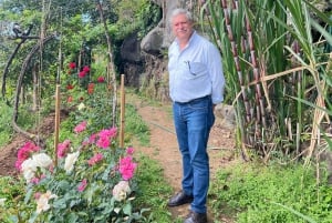 Madeira: Highest Cliff in Europe & Visit to a Winery