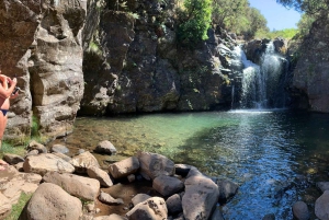 MADEIRA ISLAND WALK - MADEIRAS SØER , LEVADA DO ALECRIM