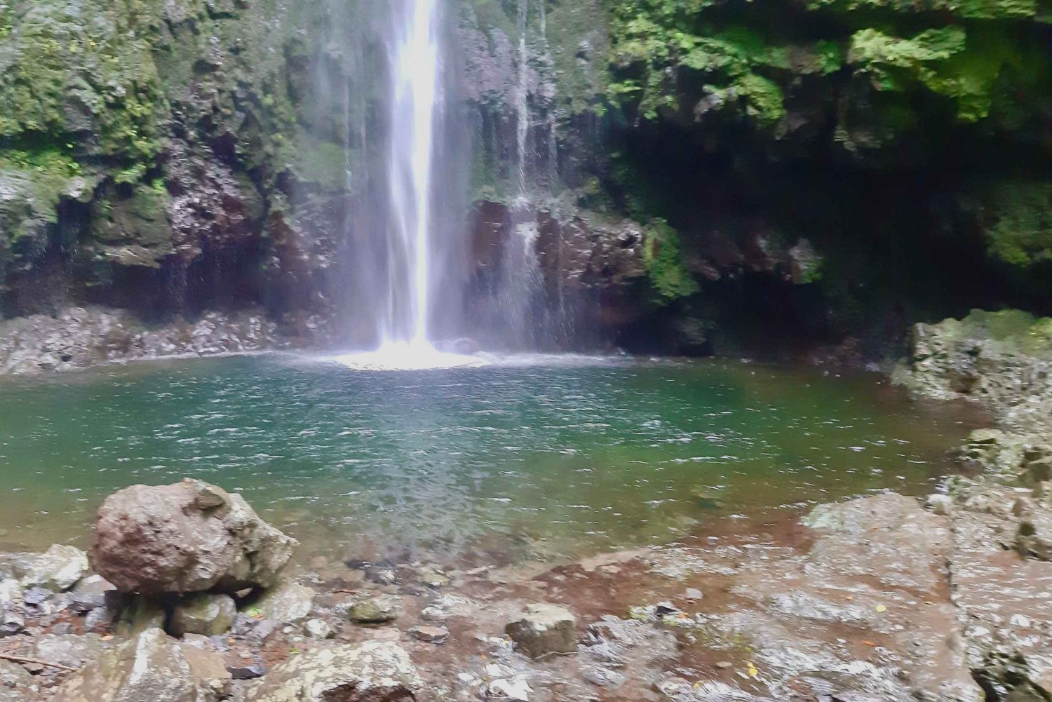 Madeira: Djungelfeber Levada Caldeirao Verde Vandring Santana