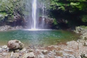 Madeira: Djungelfeber Levada Caldeirao Verde Vandring Santana
