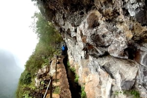 Madeira: Djungelfeber Levada Caldeirao Verde Vandring Santana
