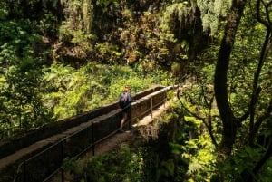 Madeira: Djungelfeber Levada Caldeirao Verde Vandring Santana