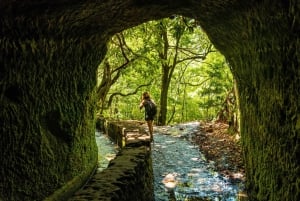 Madeira: Djungelfeber Levada Caldeirao Verde Vandring Santana