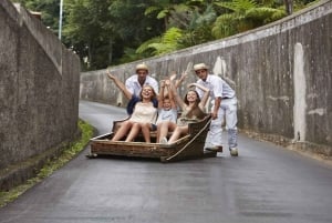 Madeira: Sightseeing i Monte och kälkåkning