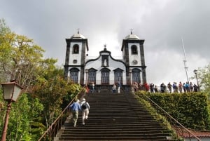 Madeira: Sightseeing i Monte och kälkåkning