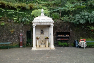 Madeira: Sightseeing i Monte och kälkåkning