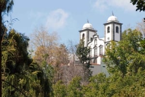 Madeira: Sightseeing i Monte och kälkåkning