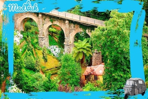 Madeira: Monte Toboggan + Tour del centro storico in tuk-tuk con MadTuk
