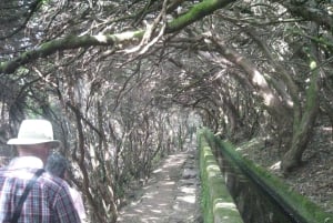 Madeira: passeggiata in montagna con laguna e cascate