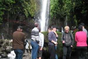 Madeira: passeggiata in montagna con laguna e cascate