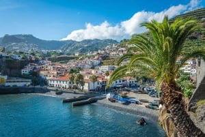 Madeira: Tour de medio día por el Valle de las Monjas y la Câmara de Lobos