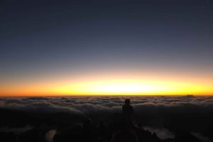 Madeira: tour all'alba al Pico do Arieiro con colazione