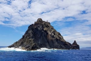 Madera: rejs wycieczkowy łodzią do latarni morskiej Ponta de São Lourenço