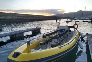 Madera: rejs wycieczkowy łodzią do latarni morskiej Ponta de São Lourenço