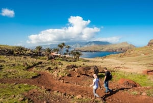 Madera: rejs wycieczkowy łodzią do latarni morskiej Ponta de São Lourenço