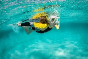 Madeira: Passeio de barco com snorkeling na Ponta de São Lourenço