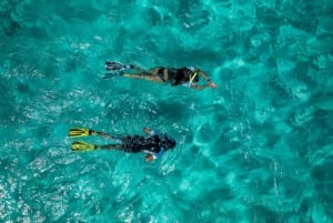 Madeira: Passeio de barco com snorkeling na Ponta de São Lourenço