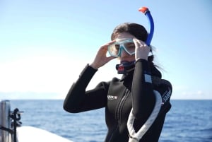 Madeira: Passeio de barco com snorkeling na Ponta de São Lourenço