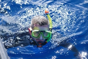 Madeira: Passeio de barco com snorkeling na Ponta de São Lourenço